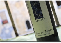 vino-marcello-vigna-dei-mastri_bottiglia