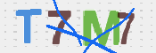 Immagine CAPTCHA