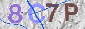 Immagine CAPTCHA