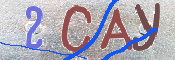 Immagine CAPTCHA