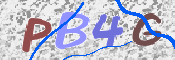 Immagine CAPTCHA