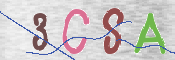 Immagine CAPTCHA